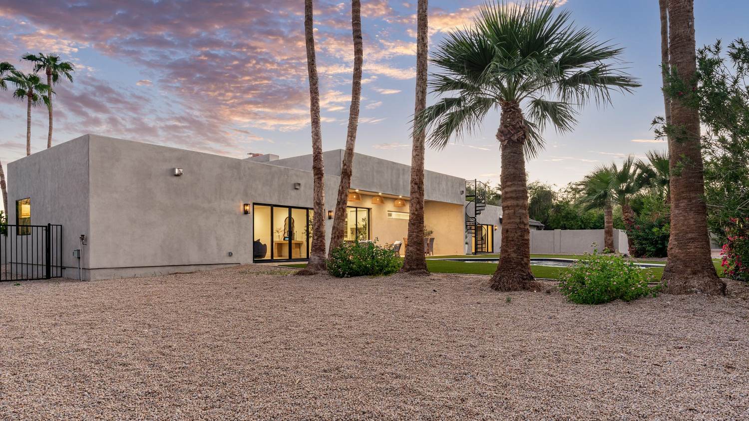 Side yard with mature palms